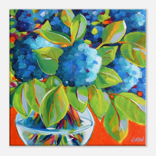 Hydrangeas